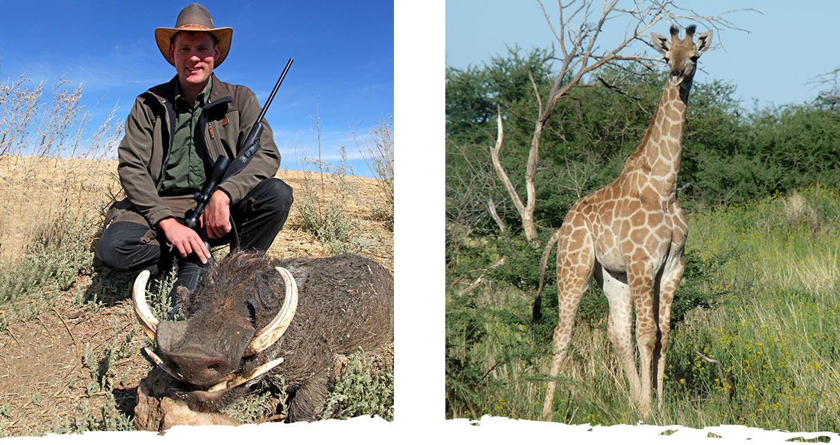 Jagd und Gästefarm Okosongoro Namibia - Wildreichtum