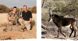 Jagen in Namibia auf der Okosongoro Safari Ranch - reife Trophäen