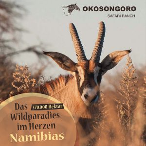 Jagen in Namibia - Wildparadies Okosongoro Broschüre