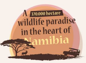 Okosongoro wildlife paradise in the heart of namibia