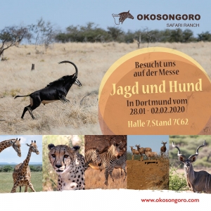 Okosongoro Jagdfarm Namibia auf der Jagd und Hund Dortmund